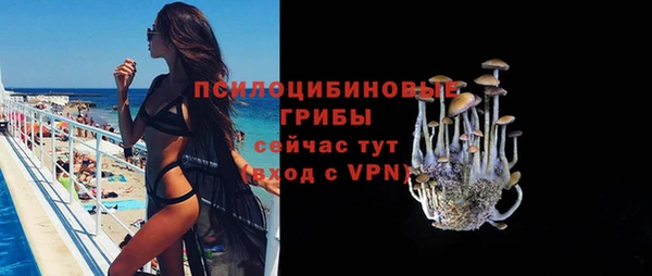 СК Алексин
