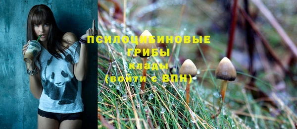 СК Алексин