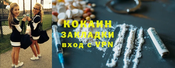 СК Алексин
