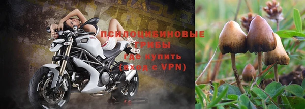 соль курить ск Алзамай