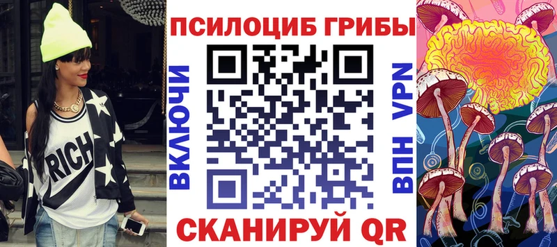 Псилоцибиновые грибы Psilocybe Чебоксары